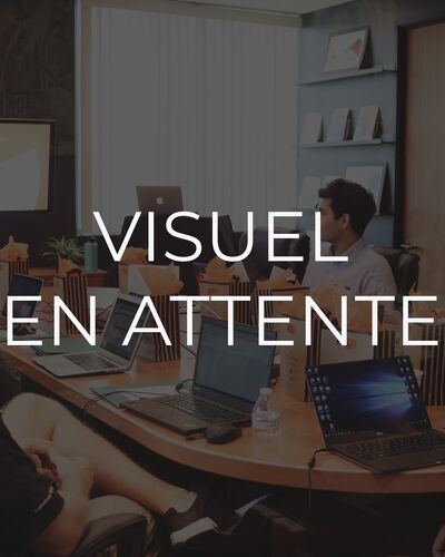 texte alternatif a remplacer